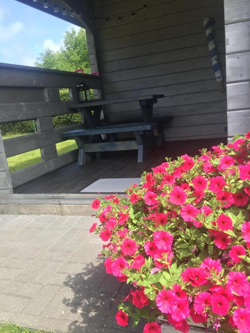 Domki Szenodo Na Jodlowej Debina  Exterior foto